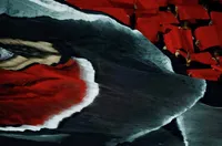 Феновете на ЦСКА прекъснаха дербито с Лудогорец