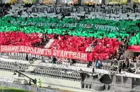 Трябва ли да има смъртен случай, за да приемат Закона за спортното хулиганство?