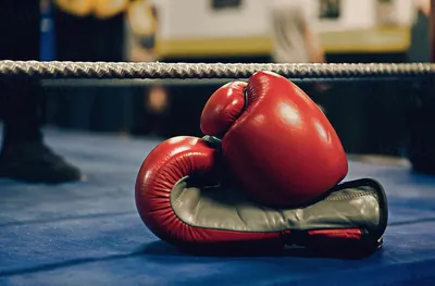 Голямо признание за българския бокс