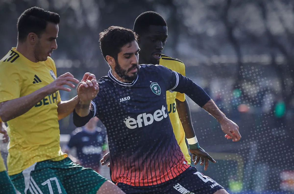 "Пълен напред" за Лудогорец: Кайо Видал - Добруджа 2:0