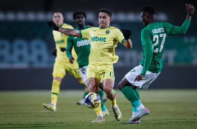 Мощен Лудогорец разби Берое - 4:0