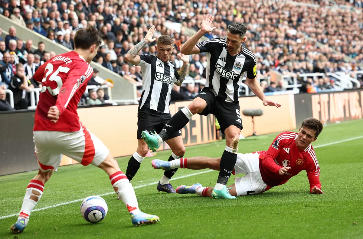 Време е за Боксинг дей! 