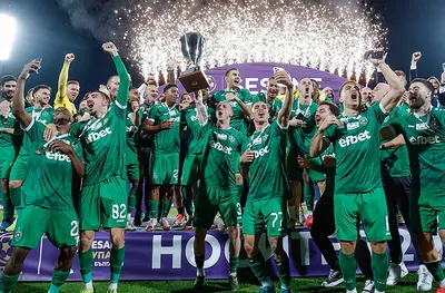 Лудогорец с призив към феновете