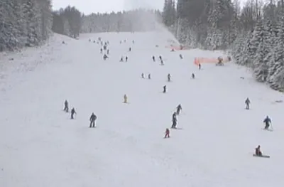 Пускат Витошко лале на Витоша в четвъртък