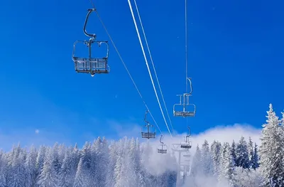 Писта Витошко лале отваря врати