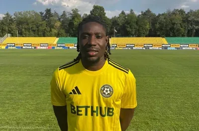 Добруджа натири нападател