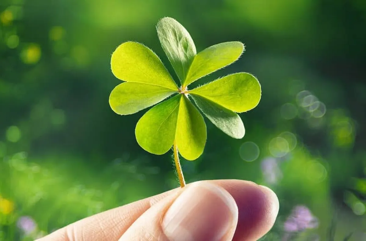 Планираш смяташ чертаеш сценарии а животът следва своя собствен ход