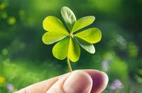 Невидимата сила на късмета: 5 истински истории с вдъхновяващ край