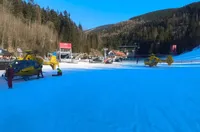 ОБРАТ: Скиорът, блъснал Малена, не е бил пиян