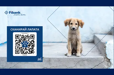 Fibank подкрепя кампанията „Сканирай лапата“ в защита на животните