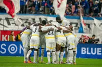 Двама ганайски национали са станали жертва на кражба във Виена