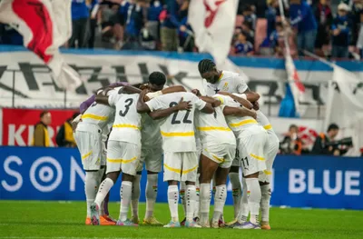 Двама ганайски национали са станали жертва на кражба във Виена