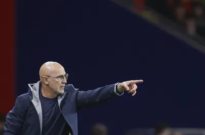 Треньорът на Испания осъди ксенофобията