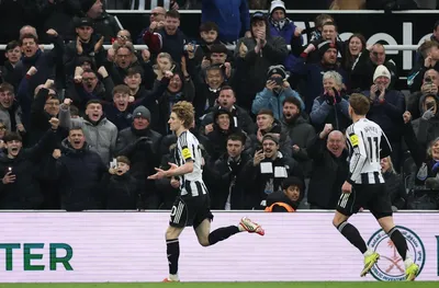 Байерн Мюнхен си хареса звездата на Нюкасъл