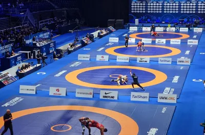 България с двама финалисти Евро 2026 по борба