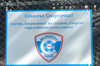 Фенове на Спартак Вн осиновиха сокола Спартачко