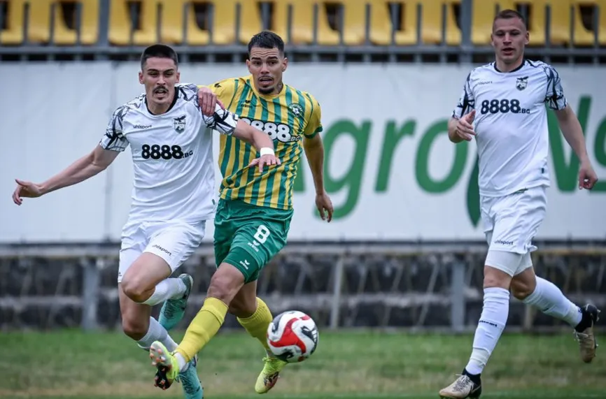 Добруджа - Пирин 2:1 