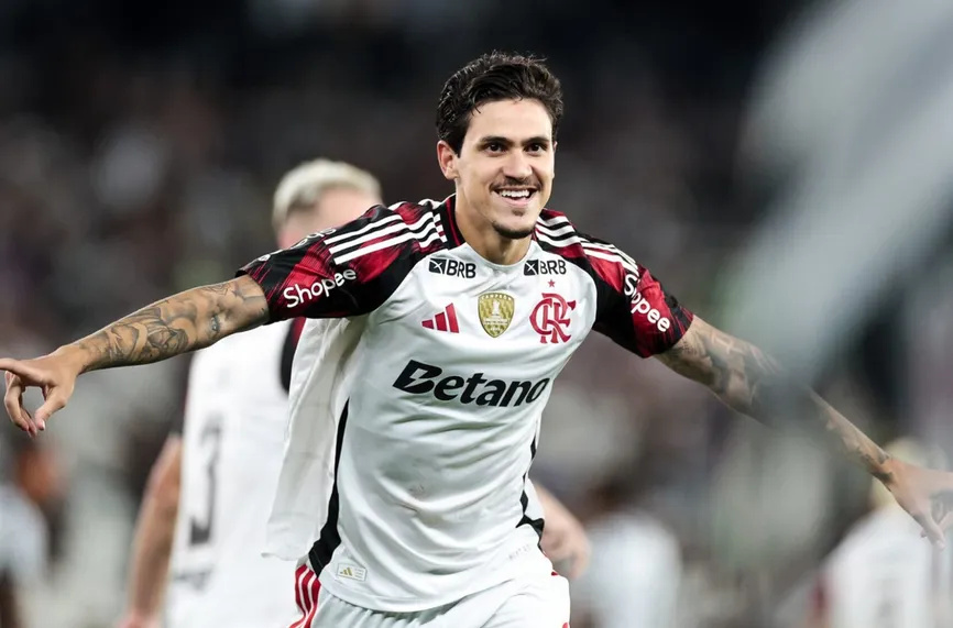 Ботафого - Фламенго  0:3