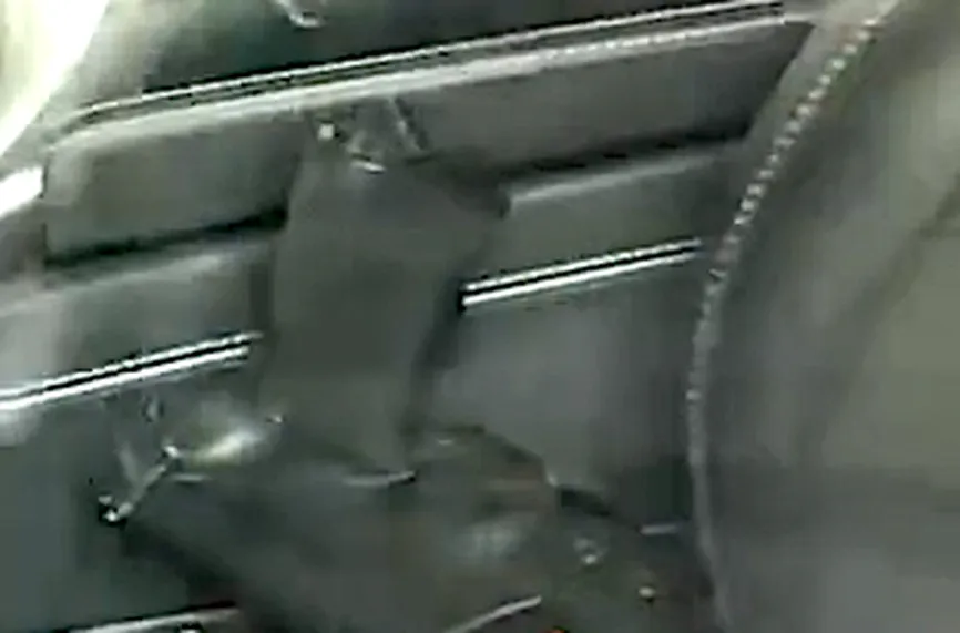 Бербатов с оръжие в колата