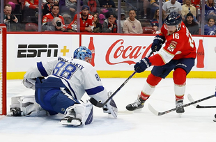 NHL: Флорида - Тампа Бей  7:1